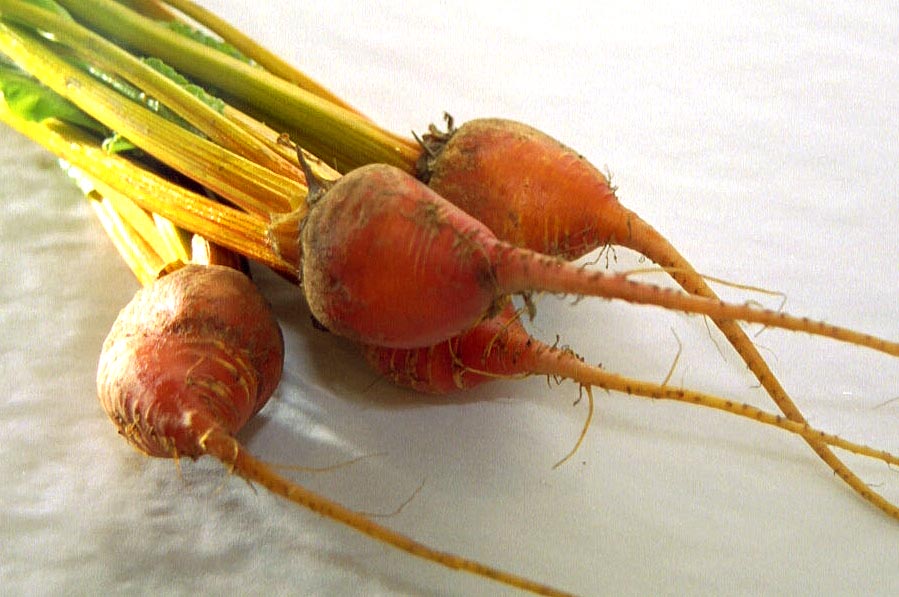 Identification Chart